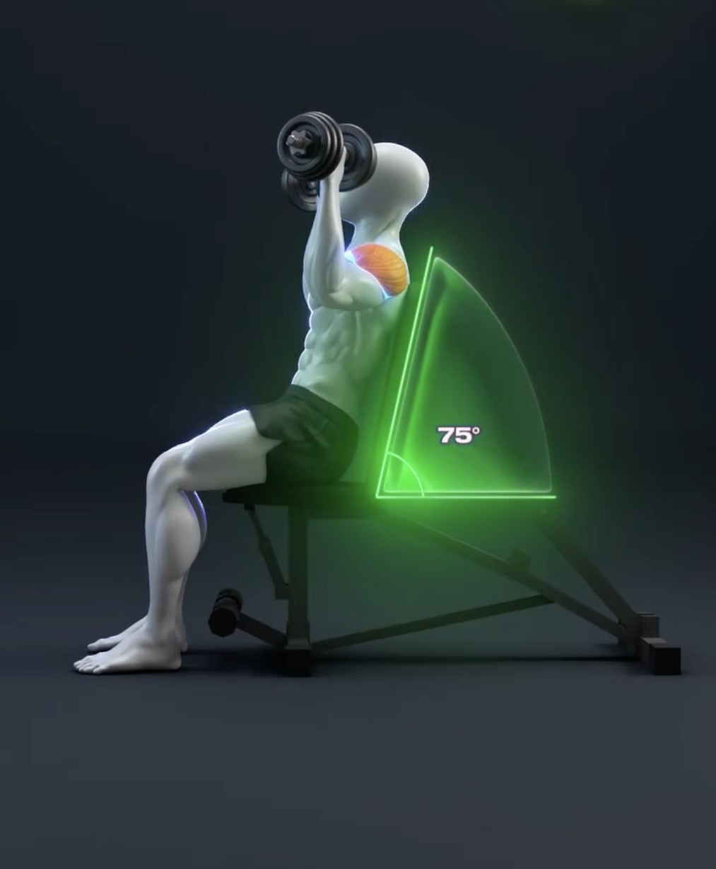 Videos anatómicos — entiende tu cuerpo en cada movimiento